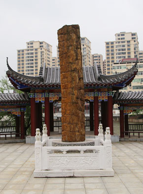 树化玉（树化玉广。。。。。