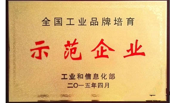 全国工业品牌造就示范企业1.png