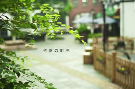 1465269934322083078.jpg 5.10五月初夏.jpg